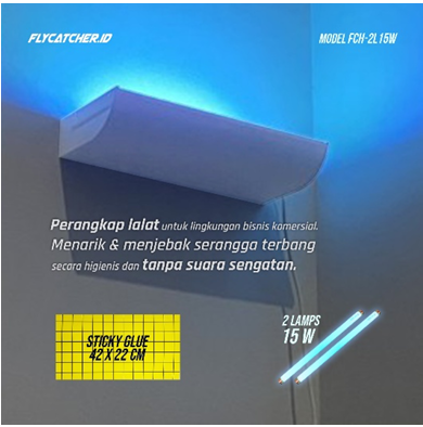 Flycatcher FCH2L15W