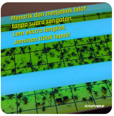 Glue pad ekstra lengket untuk flycatcher