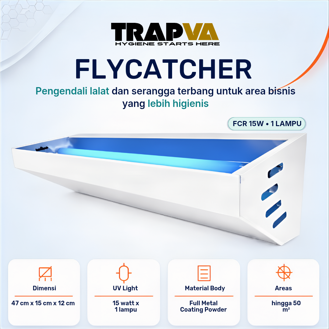 Flycatcher 1